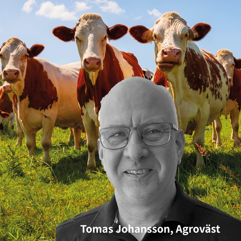 Tomas Johansson - CalveWatch | SmartAgri