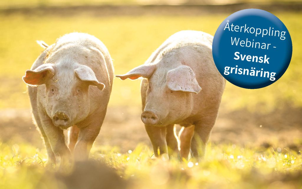Gris webinar | SmartAgri