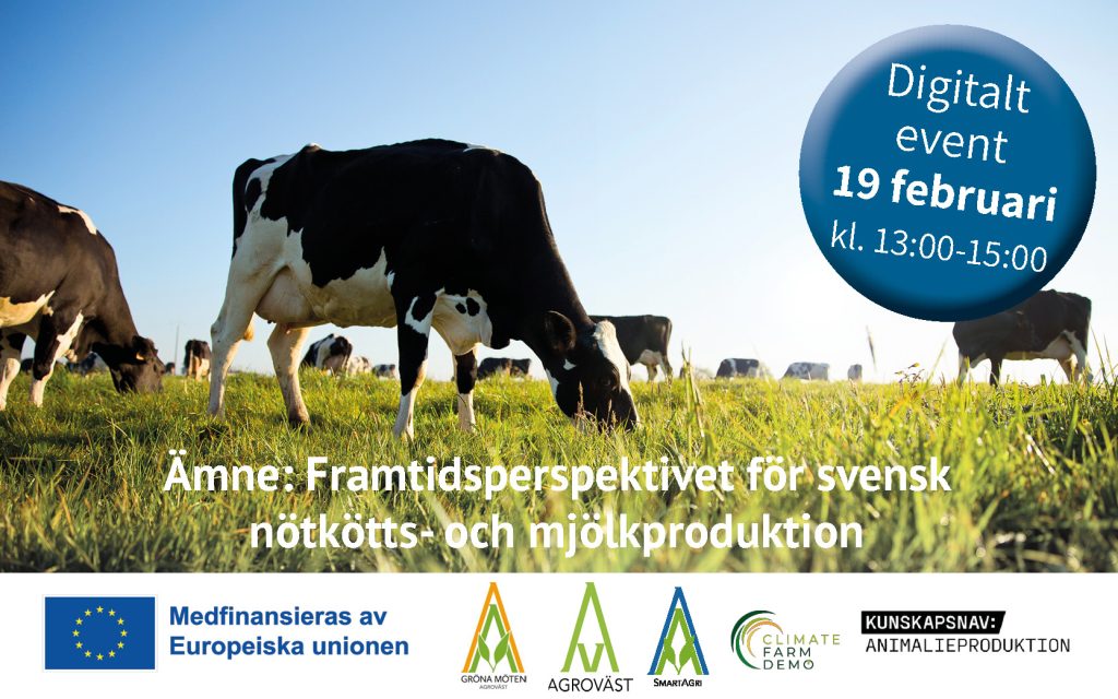 2025-02 Webbinar nötkött- och mjölkproduktion SmartAgri