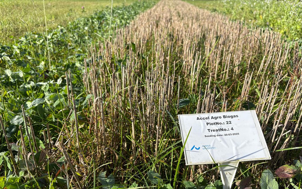2025-10 AccelAgrobiogas3