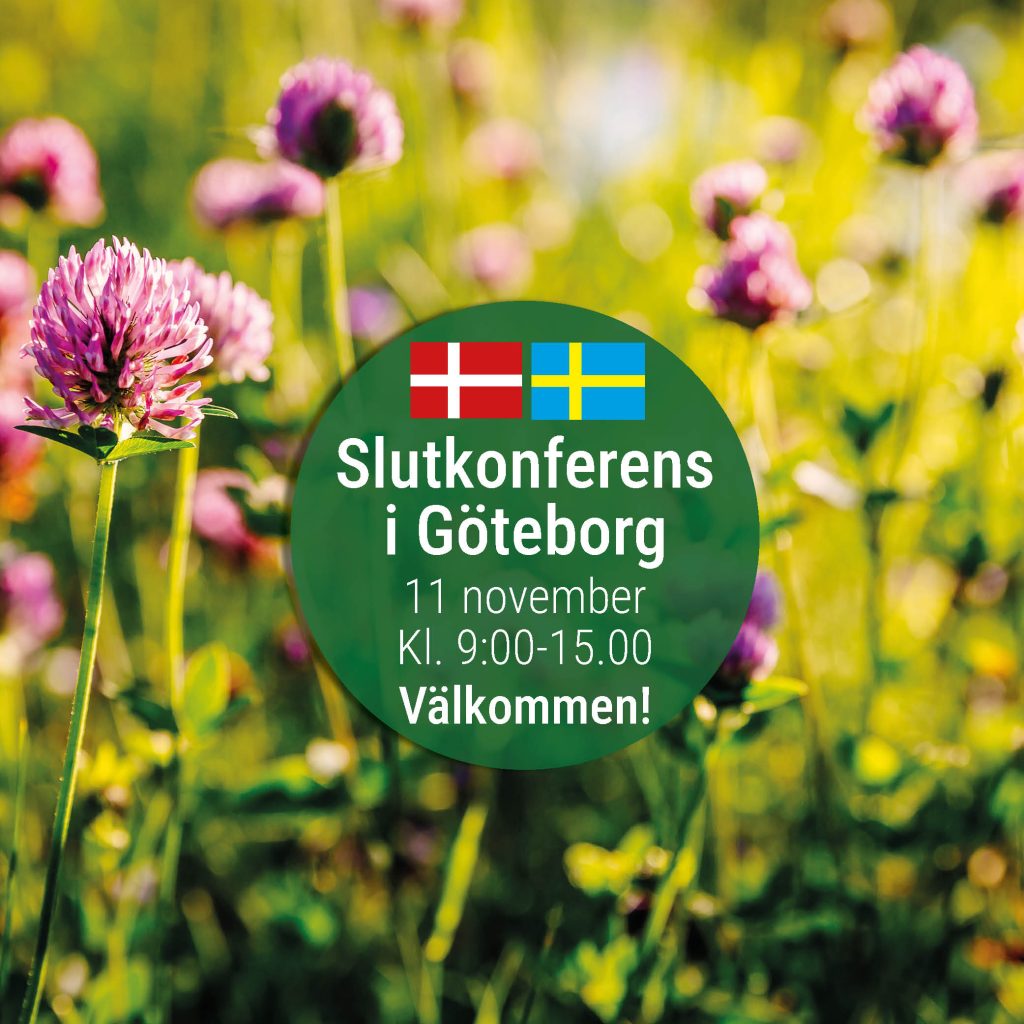 2025-11 slutkonferens Green Valleys 2.0