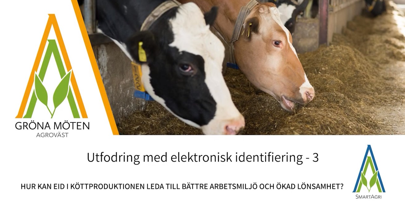 SE Utfodring med elektronisk identifiering Del 3